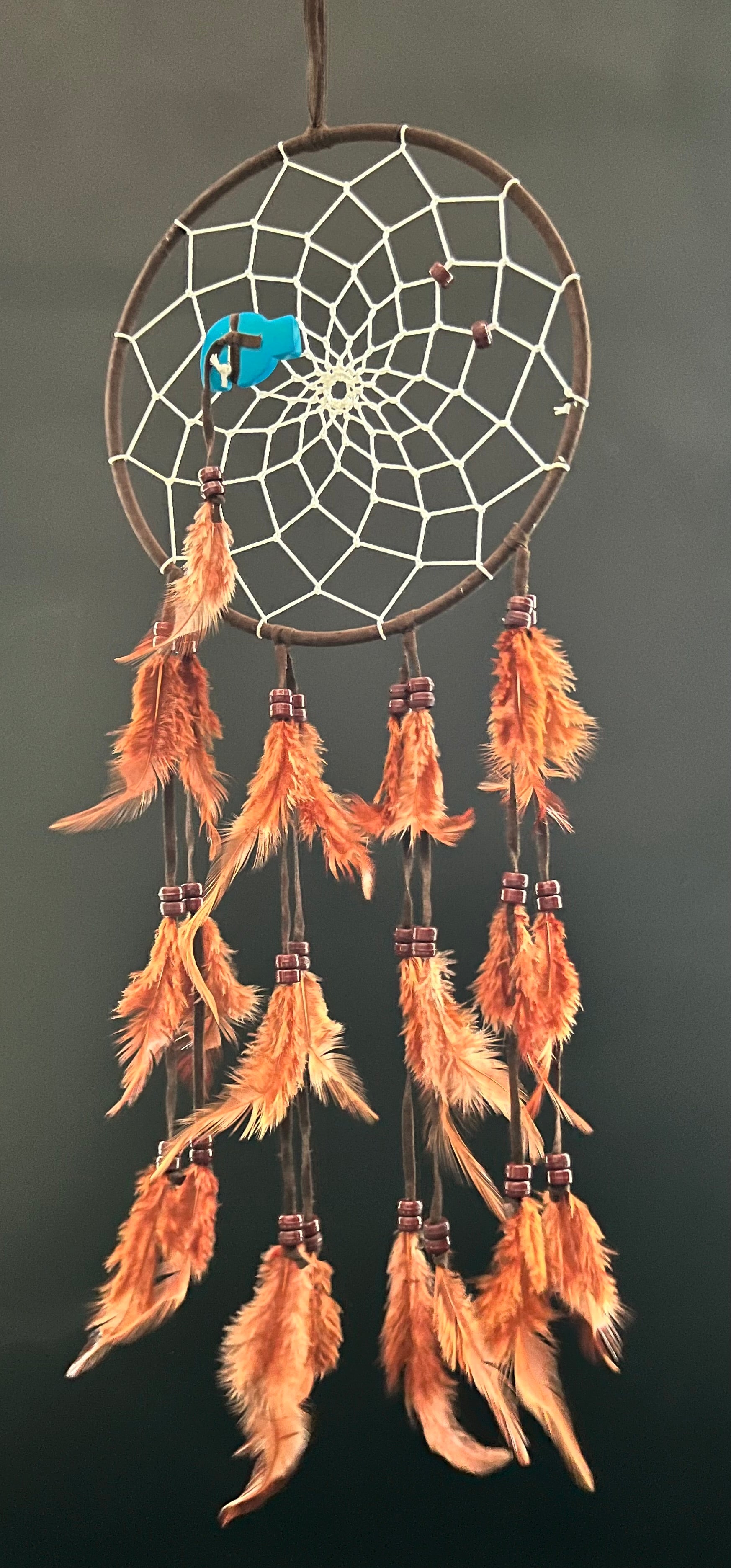 Dream Catchers