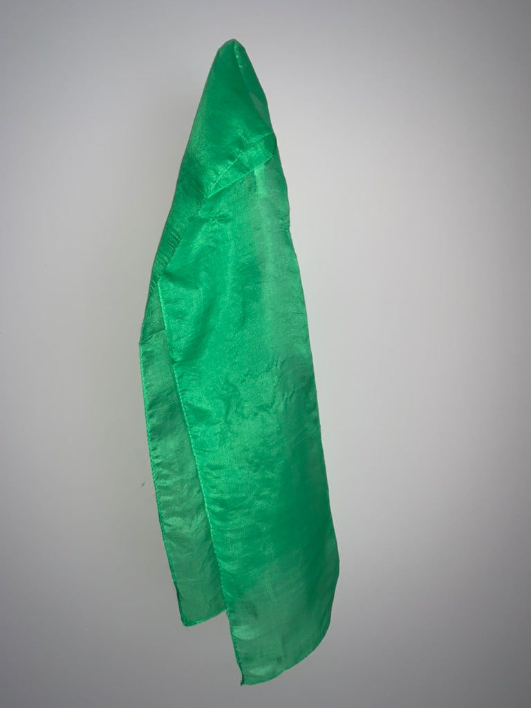 Silk Scarves (Rectangle)
