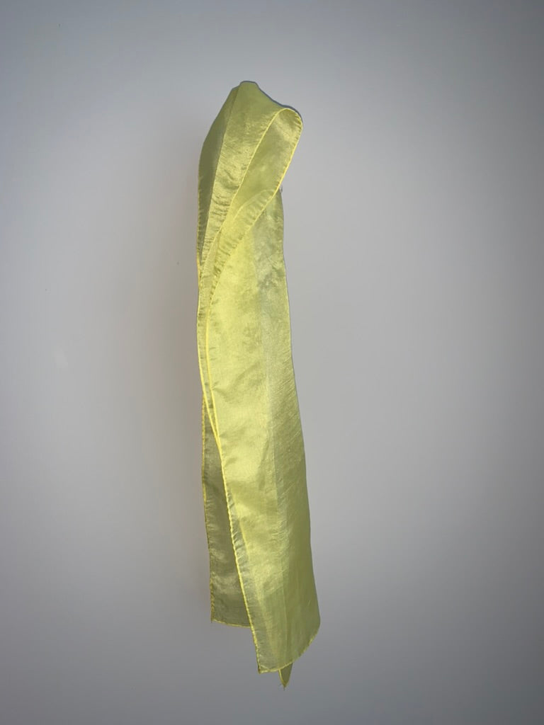 Silk Scarves (Rectangle)