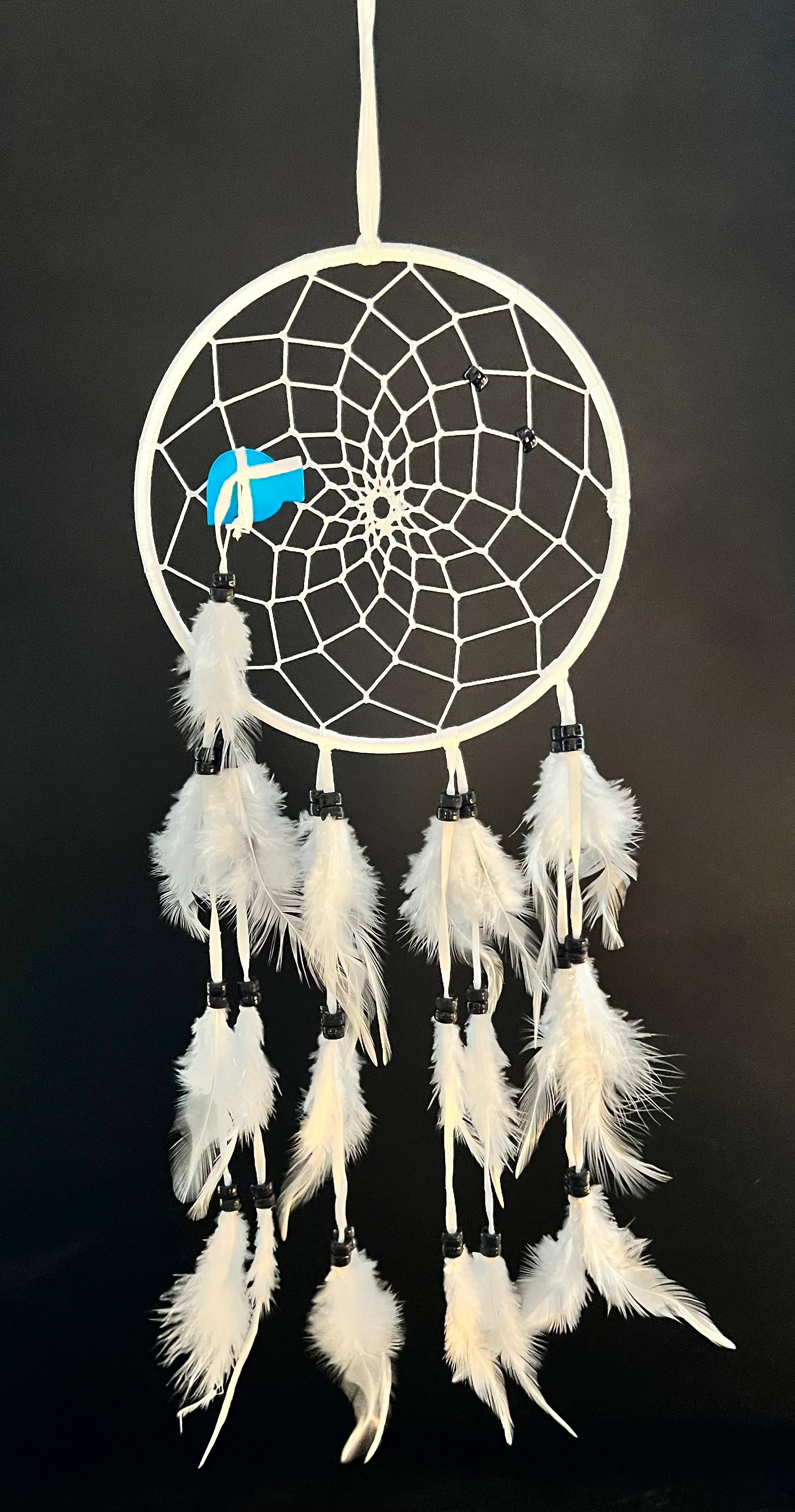 Dream Catchers